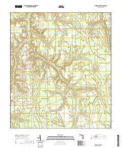 Penney Farms 2021 topographic map thumbnail