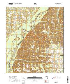 Rock Bluff 2021 topographic map thumbnail