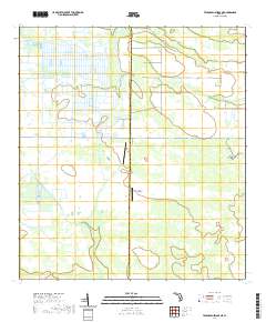 Telegraph Swamp NE 2021 topographic map thumbnail