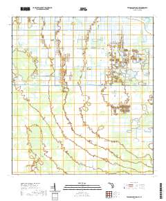 Telegraph Swamp NW 2021 topographic map thumbnail