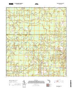 Tenmile Swamp 2021 topographic map thumbnail