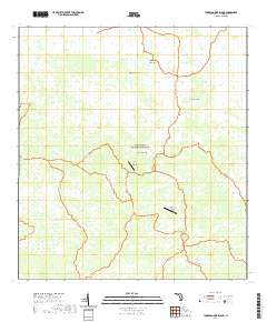 Thompson Pine Island 2021 topographic map thumbnail