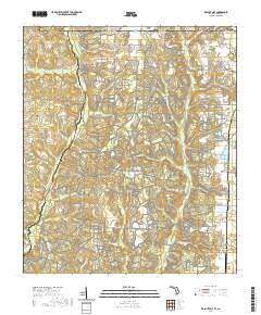 Walnut Hill 2021 topographic map thumbnail