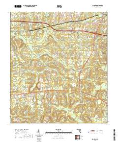 Waukeenah 2021 topographic map thumbnail