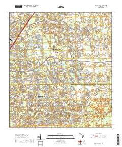 Wesley Chapel 2021 topographic map thumbnail