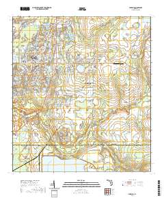 Wimauma 2021 topographic map thumbnail
