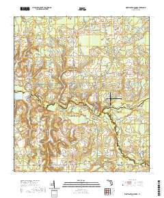 Worthington Springs 2021 topographic map thumbnail