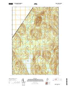 Depot Lake 2021 topographic map thumbnail
