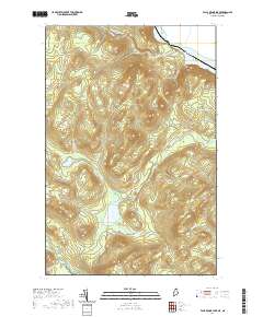 Falls Brook Lake 2021 topographic map thumbnail