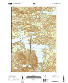 Trout Brook Mountain 2021 topographic map thumbnail