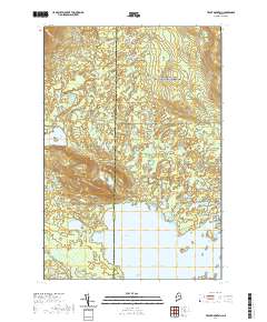 Trout Mountain 2021 topographic map thumbnail