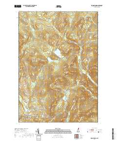 Diamond Pond 2021 topographic map thumbnail