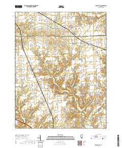 Walnut Hill 2021 topographic map thumbnail