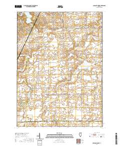 Shabbona Grove 2021 topographic map thumbnail