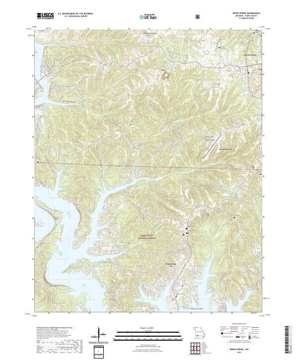 Reeds Spring 2021 topographic map thumbnail