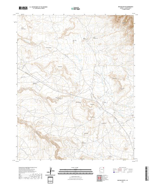 Bad Bug Butte topographic map thumbnail