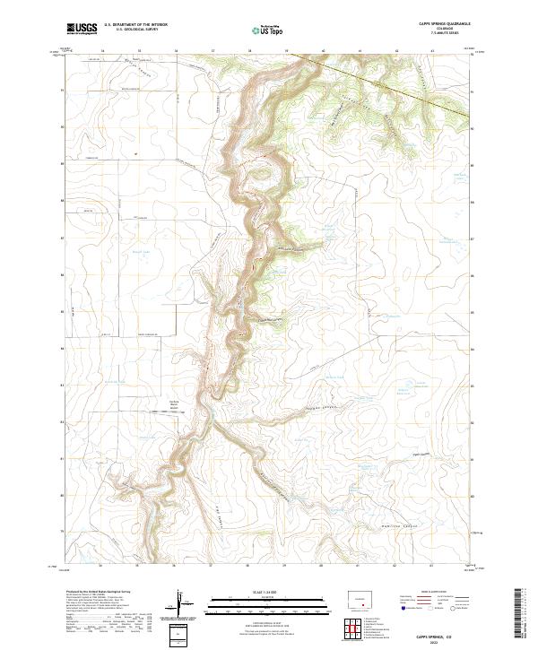 Capps Springs topographic map thumbnail