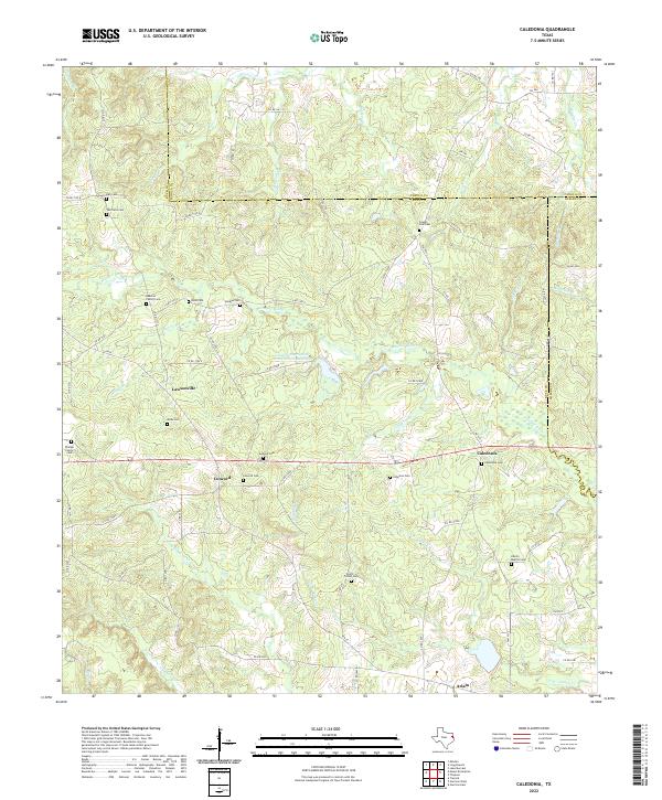 Caledonia topographic map thumbnail