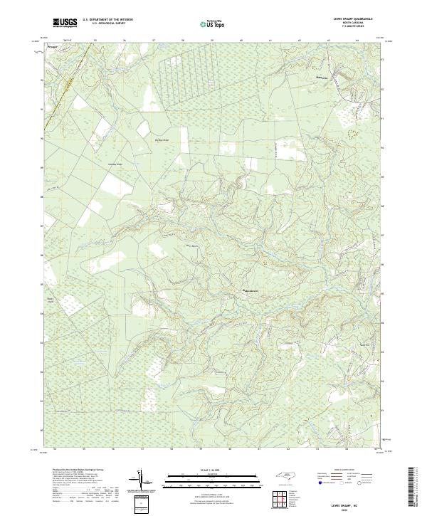 Lewis Swamp topographic map thumbnail