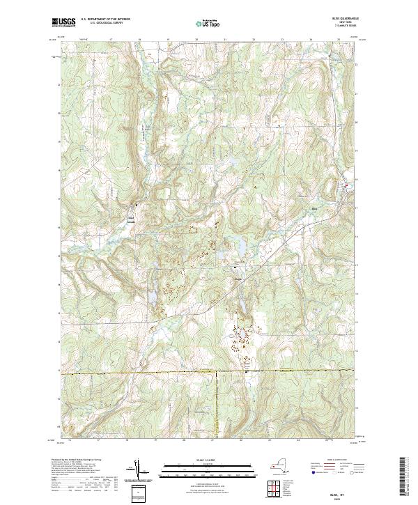Bliss topographic map thumbnail
