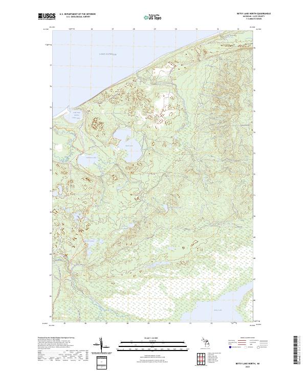 Betsy Lake North topographic map thumbnail