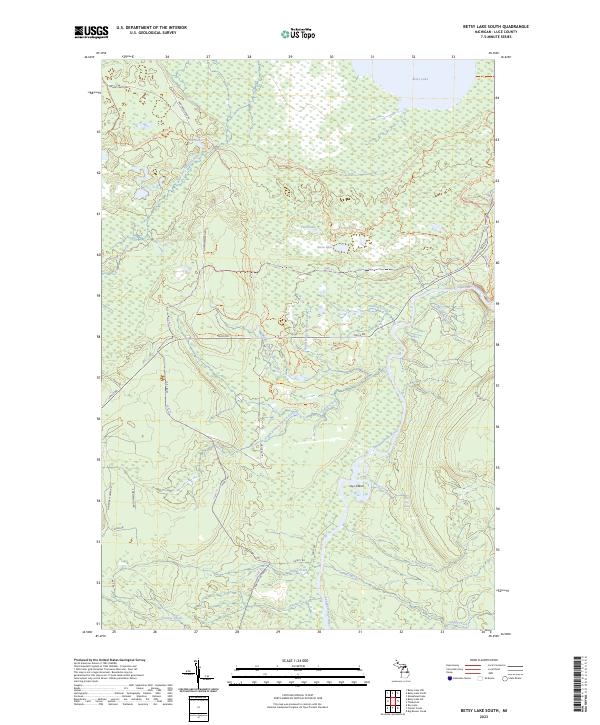 Betsy Lake South topographic map thumbnail