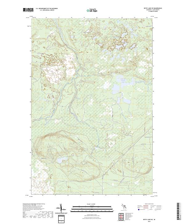 Betsy Lake SW topographic map thumbnail