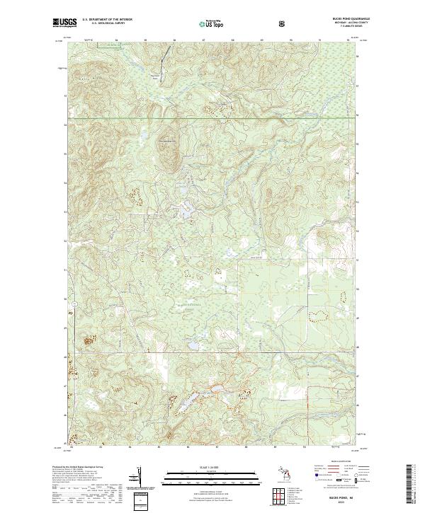 Bucks Pond topographic map thumbnail