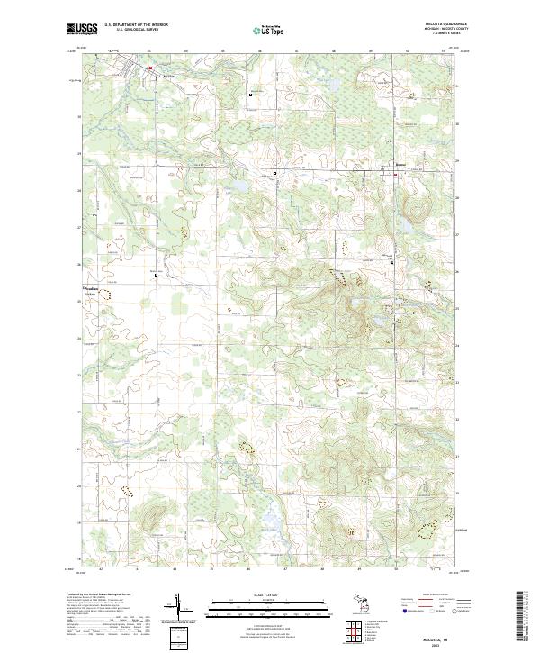 Mecosta topographic map thumbnail