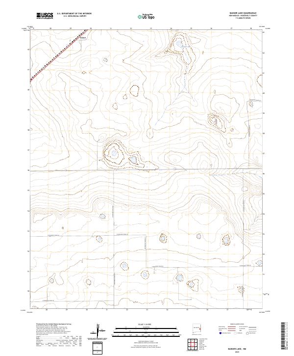 Badger Lake topographic map thumbnail