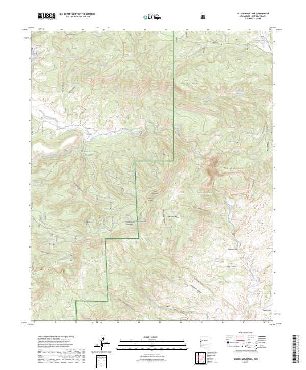 Dillon Mountain topographic map thumbnail