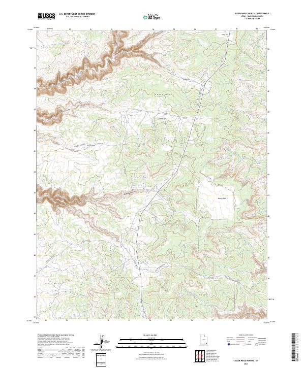 Cedar Mesa North topographic map thumbnail