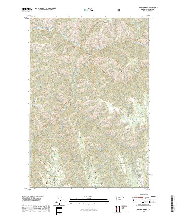 Bingham Springs topographic map thumbnail