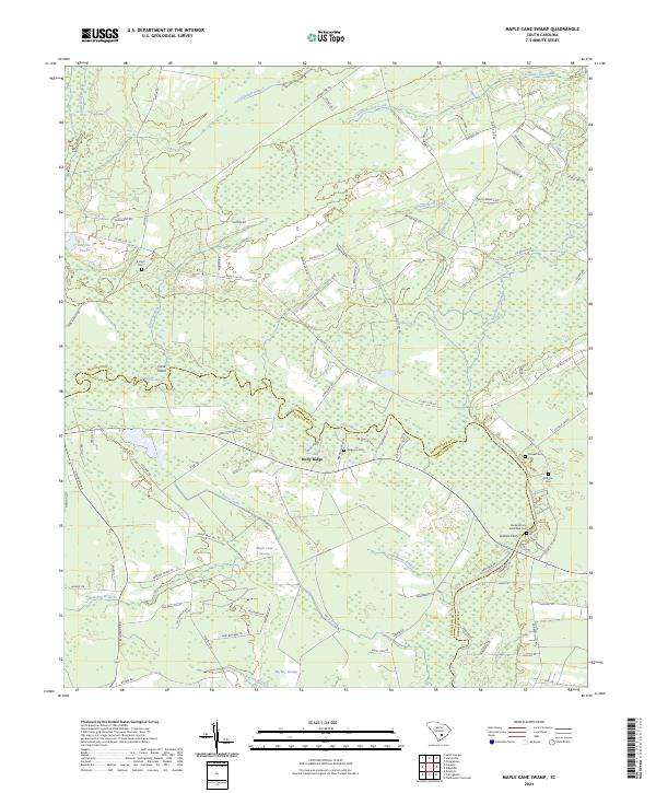 Maple Cane Swamp topographic map thumbnail