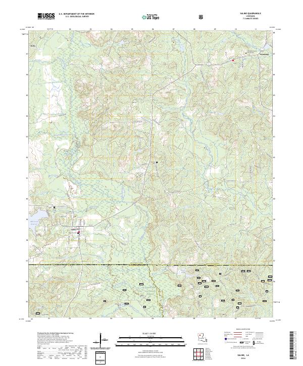 Saline topographic map thumbnail