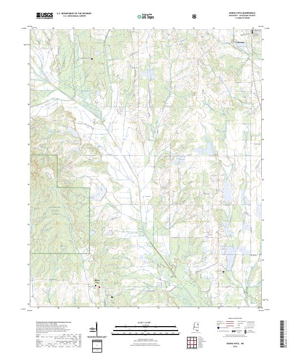 Buena Vista topographic map thumbnail
