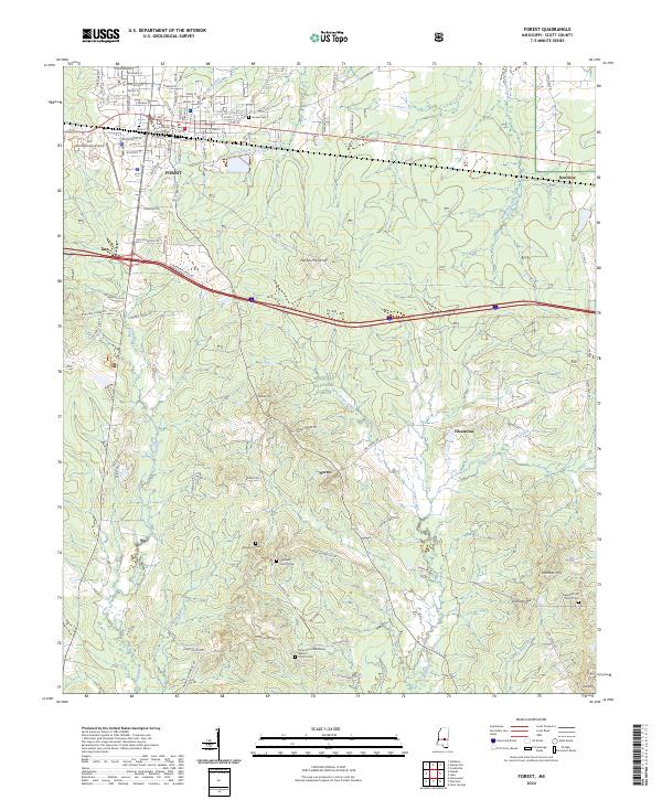Forest topographic map thumbnail