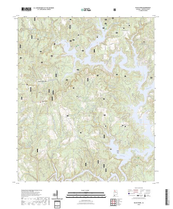Black Pond topographic map thumbnail