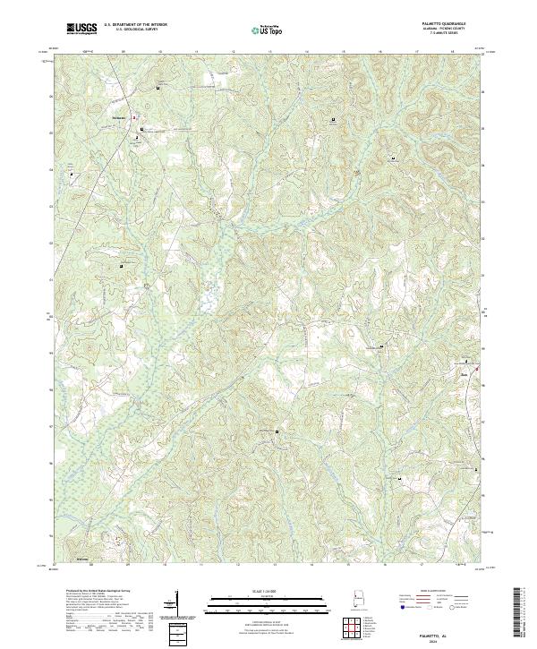 Palmetto topographic map thumbnail
