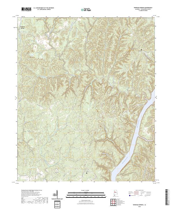 Windham Springs topographic map thumbnail