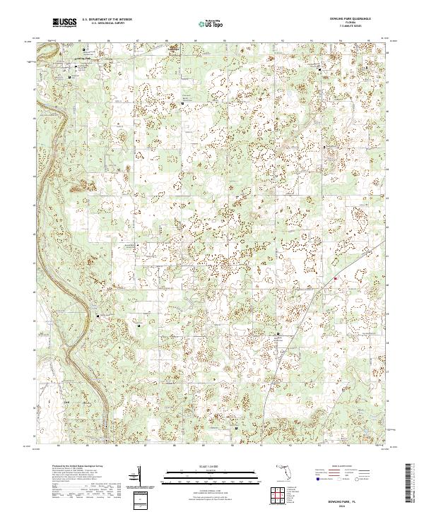 Dowling Park topographic map thumbnail