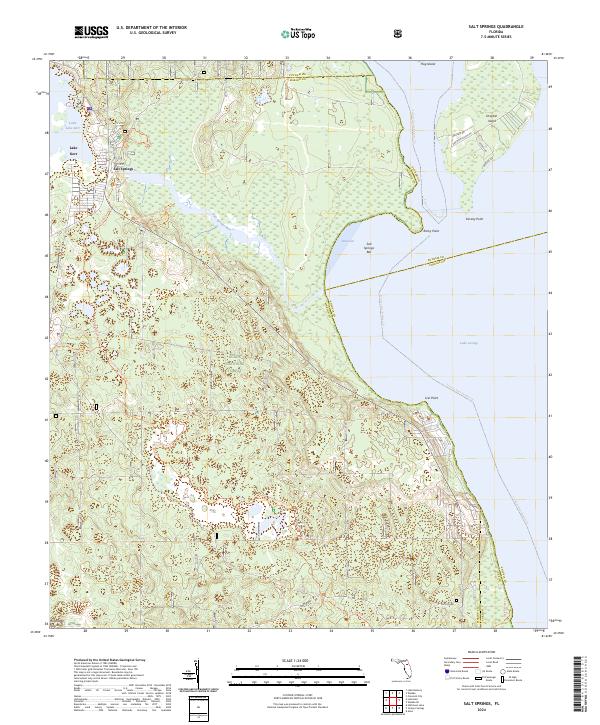 Salt Springs topographic map thumbnail
