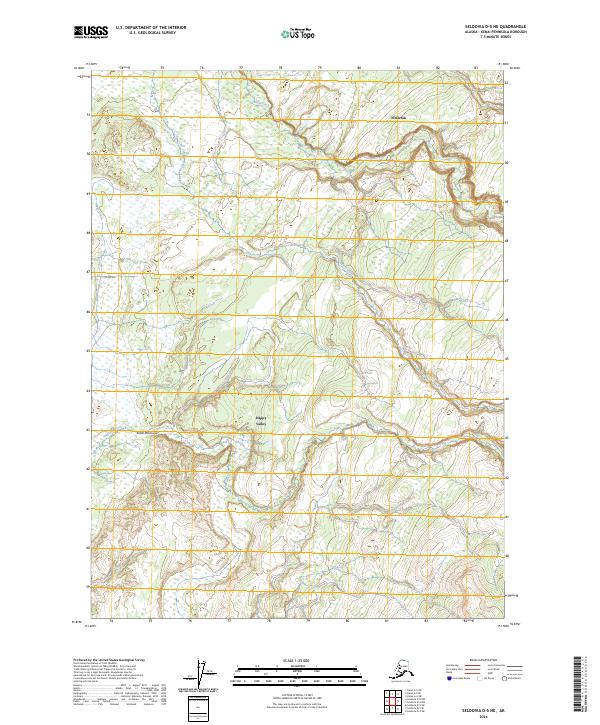 Seldovia D-5 NE 2024 topographic map thumbnail
