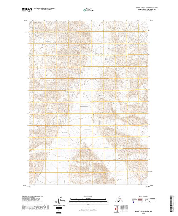 Bering Glacier D-1 SW topographic map thumbnail