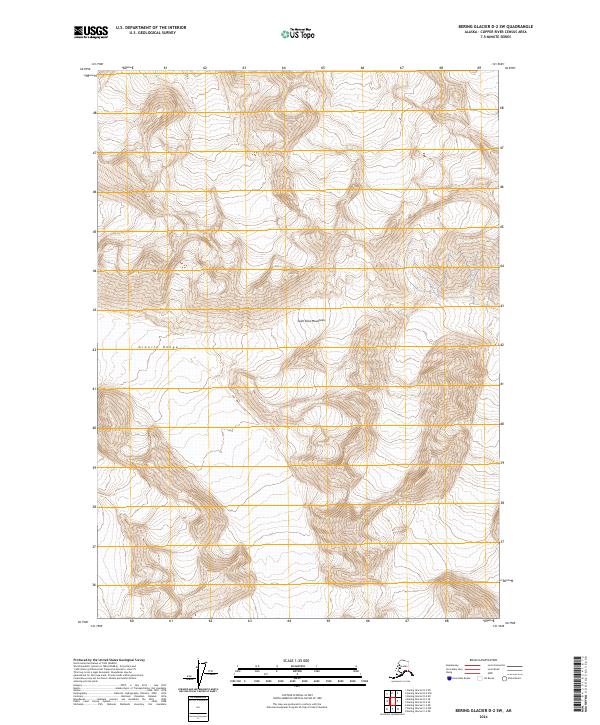 Bering Glacier D-2 SW topographic map thumbnail